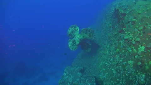 Shipwreck on the Sea Bottom Stock Footage 126789594