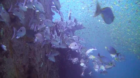 Shipwreck underwater Stock Footage 22280079