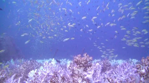 Shipwreck Underwater Stock Footage 22302656