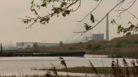 Shipwreck17 ducks Stock Footage 180617