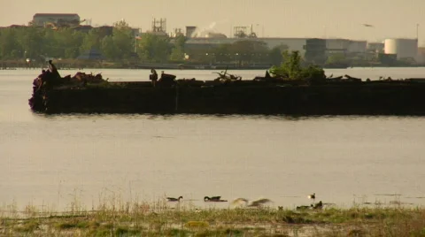 Shipwreck30 Video stock 181891