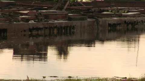 Shipwrecks ducks Stock Footage 175503