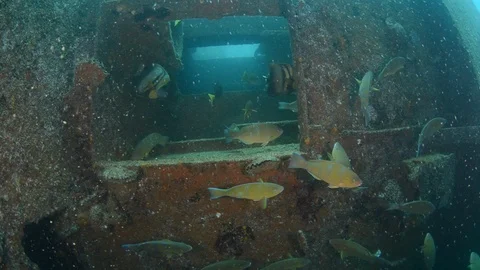 Shipwrecks, Mexico. 库存影片 101425289