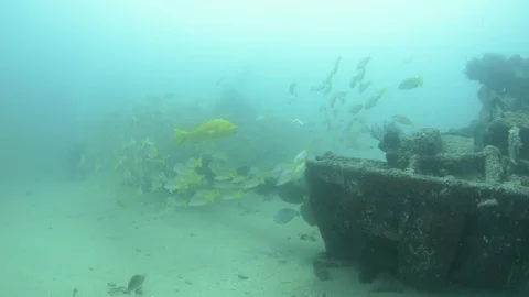 Shipwrecks, Mexico. Stock Footage 101425928