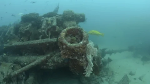 Shipwrecks, Mexico. Stockbeeldmateriaal 101426018