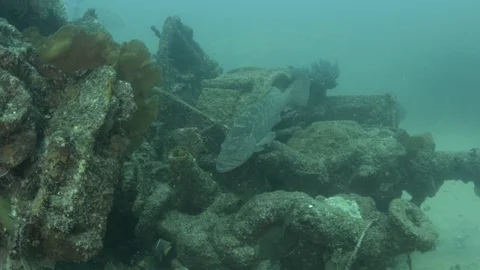 Shipwrecks, Mexico. 库存影片 101426030