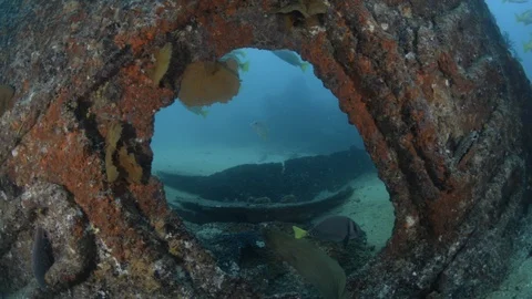 Shipwrecks, Mexico. 库存影片 101426200