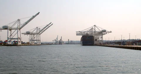 Shipyard and Cranes (Unloading Shipping Containers) 動画素材 250562444