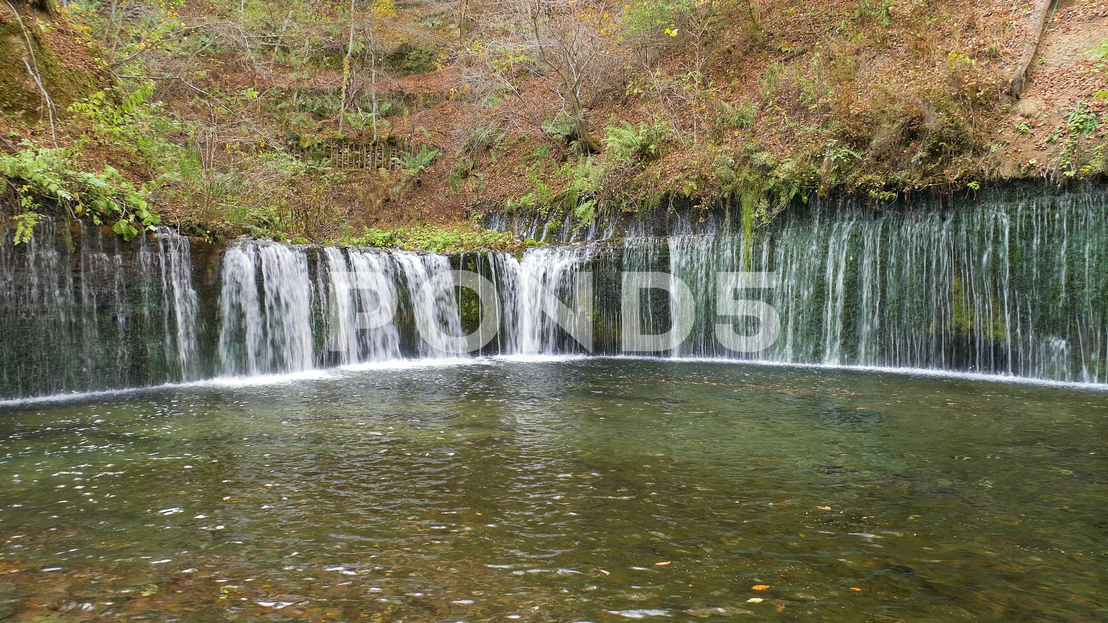 Karuizawa Stock Video Footage Royalty Free Karuizawa Videos Pond5