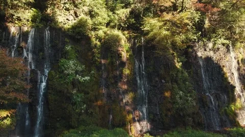 Shiraito Falls Medium Orbit Drone Shot in Fujinomiya Stock-Footage 228879674