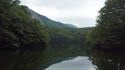 Shirakami Mountains Stock Footage 93789284