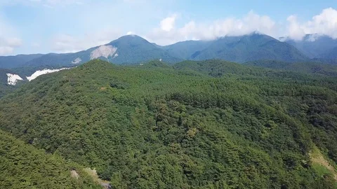 Shirakami Mountains(4K) Stock Footage 93897614