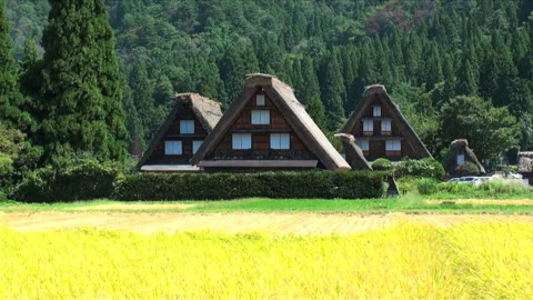 Shirakawa-go Video stock 332186908