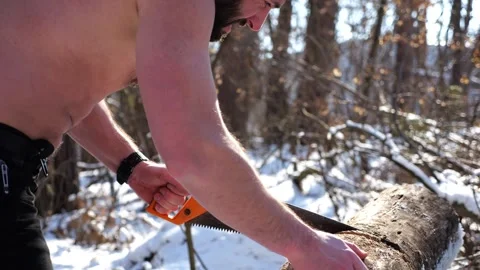 Shirtless bearded man sawing a log in sunny winter forest. Strong guy working wi Stock Footage 336317895