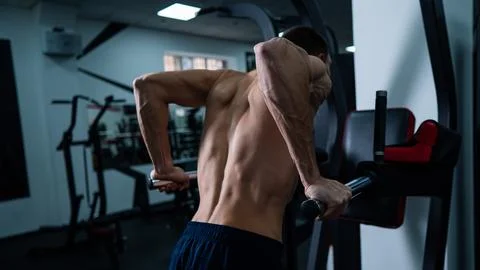 Shirtless man doing triceps dips from parallel bars in gym. Stock Photos