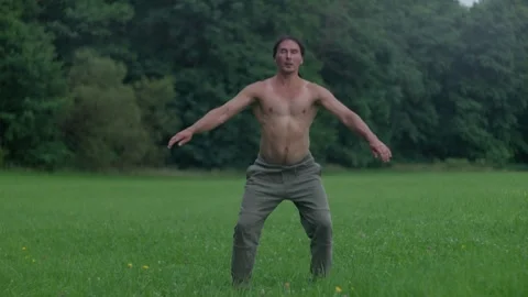 A shirtless man is engaging in physical exercise on a grassy field in a park Stock Footage 280512777