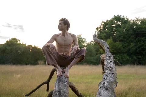 Shirtless man looking away while sitting on log against sky in forest Stock Photos