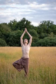 Shirtless man practicing tree pose while standing on landscape in forest Stock Photos
