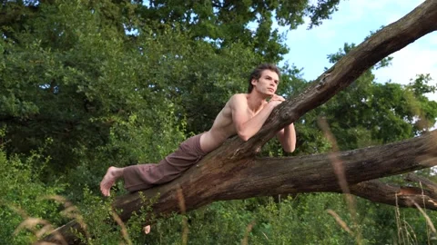 Shirtless man relaxing on fallen tree in forest Stock Footage 135615990