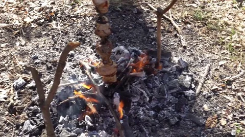 Shish kebab on fire,a beautiful composition Stock Footage 75210233