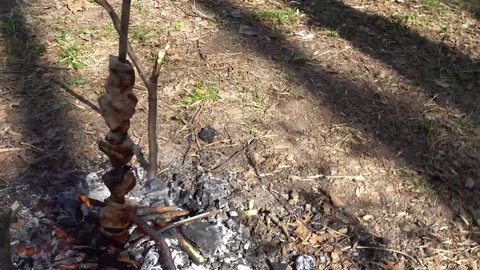 Shish kebab on fire,a beautiful composition Stock Footage 75210254