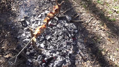 Shish kebab on fire,a beautiful composition Stock Footage 75210529