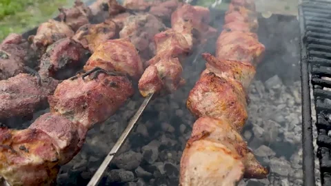 Shish kebab is fried on the grill Stock Footage 190623747