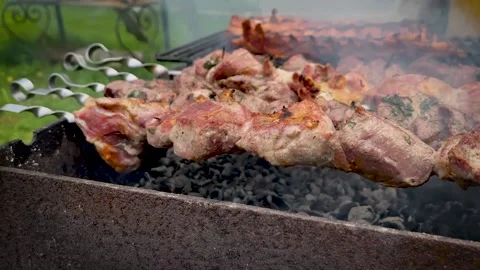 Shish kebab is fried on the grill Stock Footage 190624852