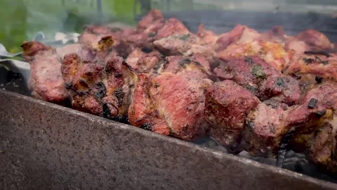 Shish kebab is fried on the grill Stock Footage 190625126