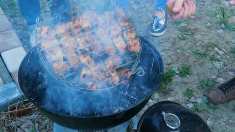 Shish kebab on the nature 01 Stock Footage 96246746