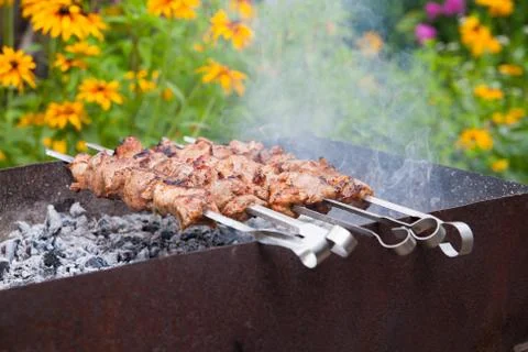 Shish kebab Stock Photos