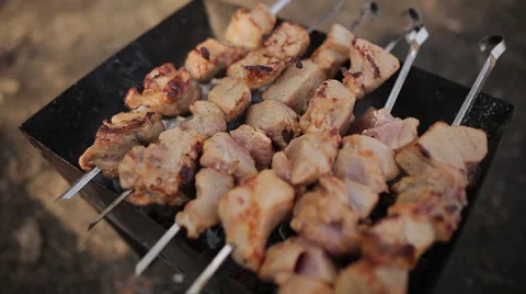 Shish kebabs on the grill in the forest Stock Footage 49976401