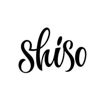 Shiso - vector hand drawn calligraphy style lettering word. Stock Illustration
