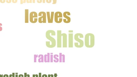 Shiso Word Cloud Animated Isolated Stock Footage 103559648