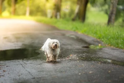 Shit weather Stock Photos