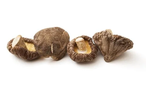 Shitake mushroom Stock Photos
