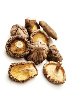 Shitake mushroom Stock Photos