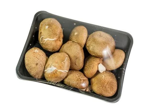Shitake mushroom 스톡 사진