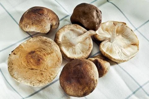 Shitake mushrooms Stock Photos