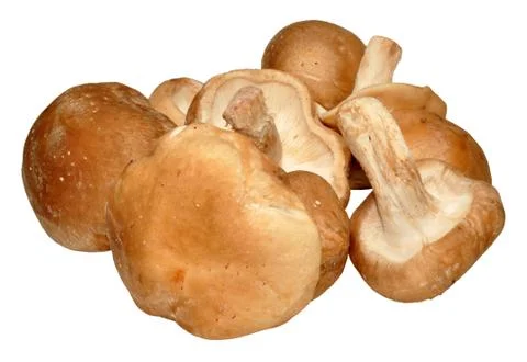 Shitake Mushrooms Stock Photos