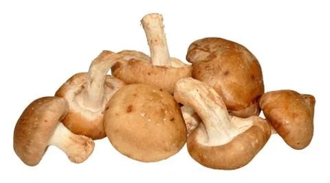 Shitake Mushrooms Stock Photos