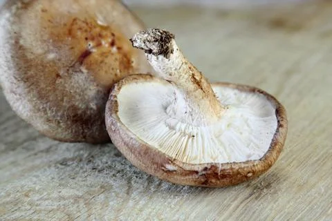Shitake Mushrooms Stock Photos