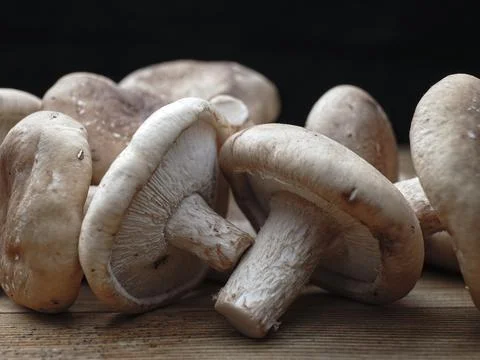 Shitake mushrooms on a table. Stock Photos