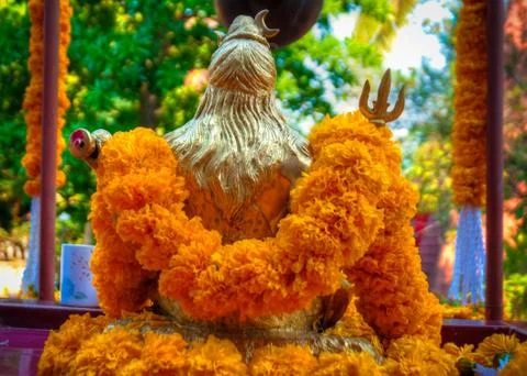Shiva Stock Photos