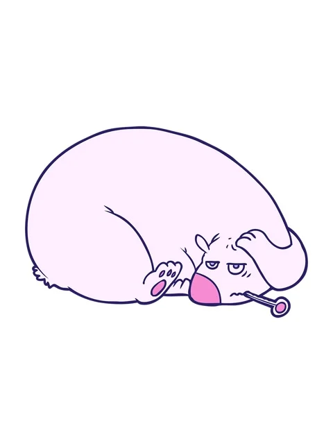 Shivering motion animation of bear with a sore head Stock Footage 324234084