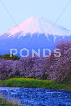 Shizuoka Prefecture, Japan Stock Photos