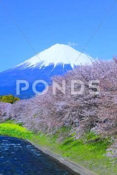 Shizuoka Prefecture, Japan Stock Photos