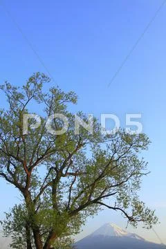 Shizuoka Prefecture, Japan Stock Photos
