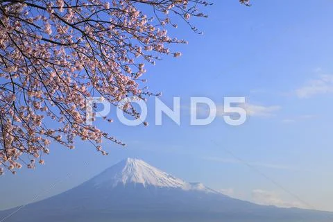 Shizuoka Prefecture, Japan Stock Photos
