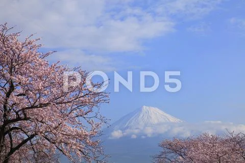Shizuoka Prefecture, Japan Stock Photos